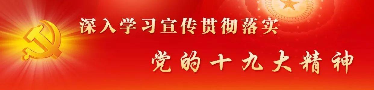 企业没有“统一社会信用代码”37天后营业执照将失效